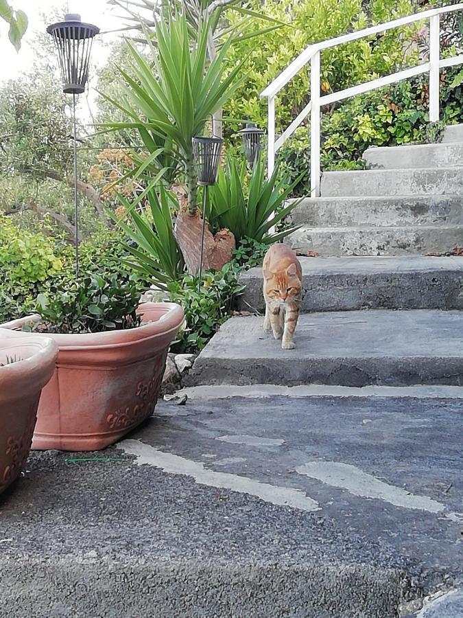 U Castiddanu Taormina Exterior foto